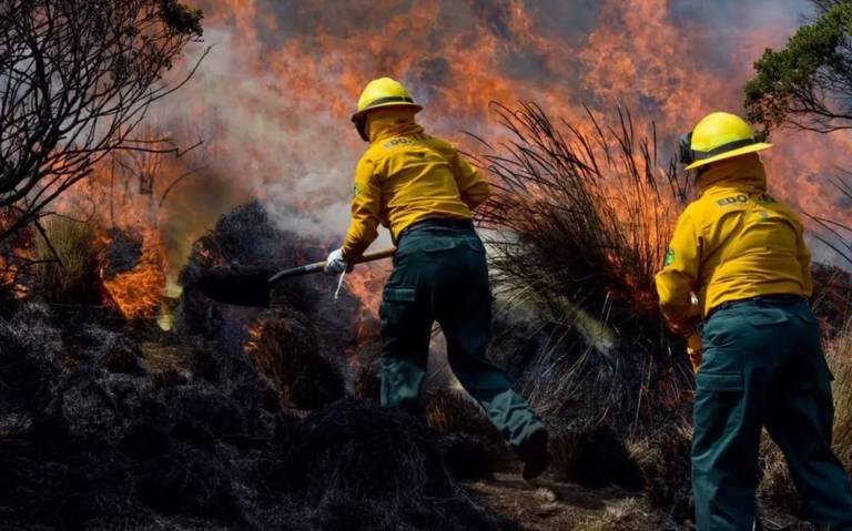 Chihuahua ocupa cuarto lugar a nivel nacional en superficie afectada por incendios