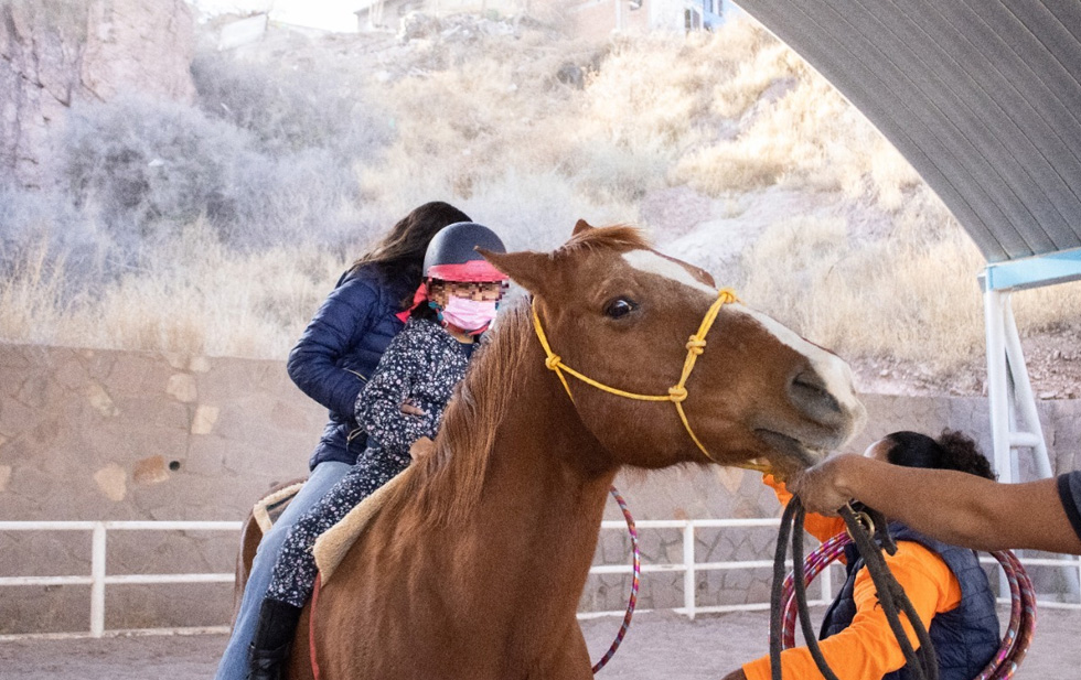 Atienden a más 650 en Centro de Equinoterapia