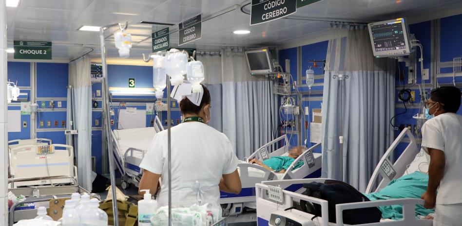 Primer Curso de Código Cerebro organizado por el IMSS, participan 27 profesores nacionales e internacionales