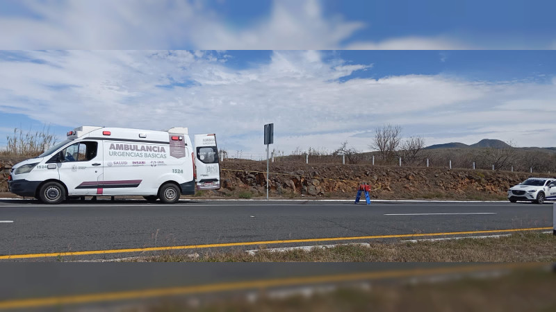 Hallan a puma atropellado en la de Occidente en el municipio de Panindícuaro, Michoacán