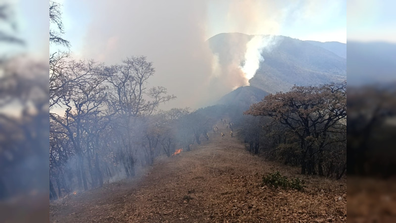 Controlan al 90% incendio forestal en San Lucas Quiaviní, Oaxaca