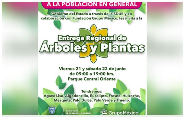 Harán entrega de árboles en el Parque Central Oriente 