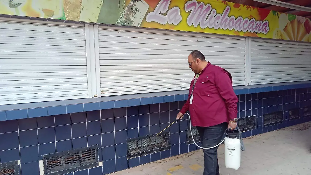 Despliegan operativo de fumigación en Parque Borunda contra proliferación de insectos